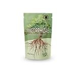 Analyse und Vergleich: Asiatische Pilze online kaufen - Welche Anbieter überzeugen?