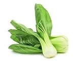 Pak Choi kaufen: Analyse und Vergleich asiatischer Gemüseprodukte