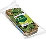 Minze frisch: Ein Vergleich von asiatischen Produkten für einen erfrischenden Genuss