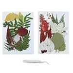 Der ultimative Vergleich: Lot-Blätter in der asiatischen Produktanalyse