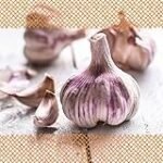 Frischen Knoblauch kaufen: Analyse und Vergleich asiatischer Produkte in Bezug auf Qualität und Preis