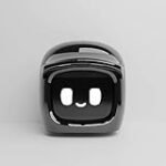 Analyse und Vergleich: Mochi-Roboter - Die Zukunft der japanischen Küche?