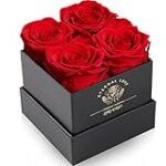 Analyse und Vergleich: Asiatische getrocknete Rosen - Qualität, Duft und Anwendung im Fokus