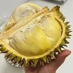 Durian kaufen: Analyse und Vergleich asiatischer Produkte für den exotischen Geschmackstest