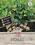 Analyse und Vergleich: Erdnuss als vielseitige Hülsenfrucht in asiatischen Produkten