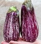 Analyse und Vergleich: Die besten asiatischen Auberginen-Produkte im Test