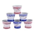Sake-Gläser im Vergleich: Ein Blick auf die Vielfalt asiatischer Trinkgefäße