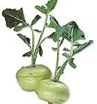 Analyse und Vergleich: Eingelegte Kohlrabi aus Asien im Fokus