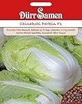 Die besten Alternativen zum Chinakohl: Analyse und Vergleich asiatischer Produkte