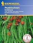 Vergleich asiatischer Rezepte mit roten Bohnen: Welches ist das Beste?