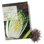 Der perfekte Ersatz: Die besten Alternativen zum Chinakohl im Asien-Produktvergleich