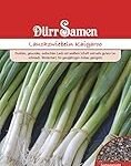 Analyse und Vergleich: Das Geheimnis perfekt angebratener Lauchzwiebeln in asiatischen Gerichten