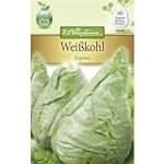 Analyse und Vergleich: Weißenkohl als Gemüsebeilage in der asiatischen Küche