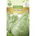 Analyse und Vergleich: Weiẞkohlsalat Rohkost - Asiatische Variationen im Fokus