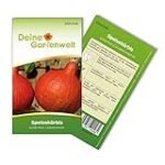 Asia-Spezialität: Kürbis dünsten im Vergleich - Analyse exotischer Aromen und Zubereitungsarten Asia-Spezialität: Kürbis dünsten im Vergleich - Analyse exotischer Aromen und Zubereitungsarten