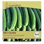 Vergleich asiatischer Rezepte: Schlangengurke als Geheimzutat in der Küche