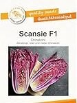 Analyse und Vergleich: Die perfekte Zubereitung von Chinakohl-Salat