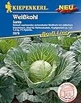 Analyse und Vergleich: Asiatische Köstlichkeiten - Rohkostsalat mit Weißkohl im Fokus