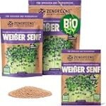 Senfgrüne Vielfalt: Eine Analyse und Vergleich asiatischer Produkte Senfgrüne Vielfalt: Eine Analyse und Vergleich asiatischer Produkte