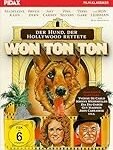 Analyse und Vergleich: Die besten Won Ton Produkte im asiatischen Markt
